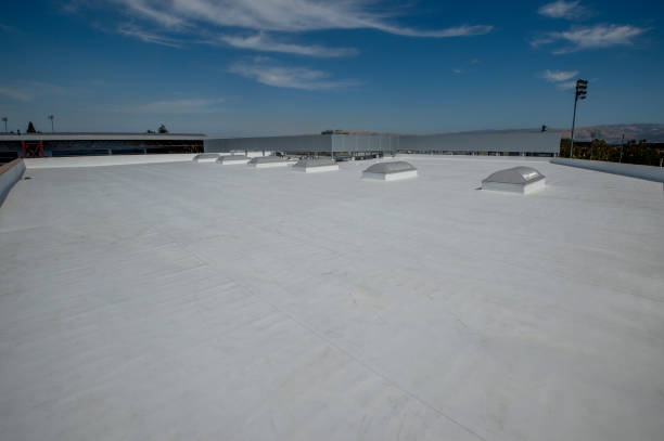 Best Solar Panel Roofing Installation  in Jackson, AL