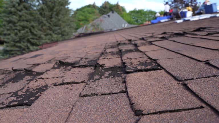  Jackson, AL Roofing Service Pros