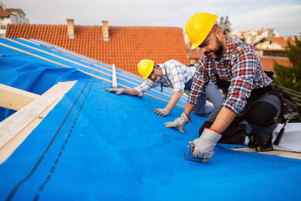 Best Emergency Roof Repair  in Jackson, AL