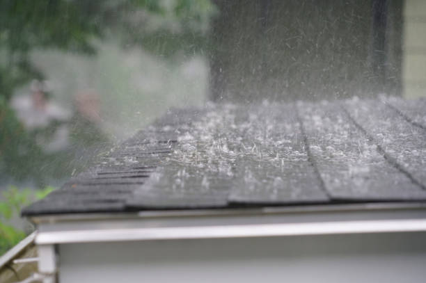Best Roof Insulation Installation  in Jackson, AL
