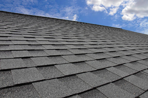 Best Roof Replacement  in Jackson, AL